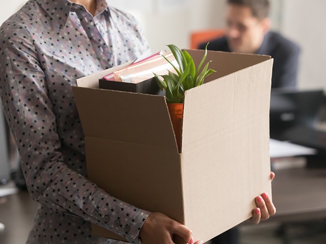 Box with plant